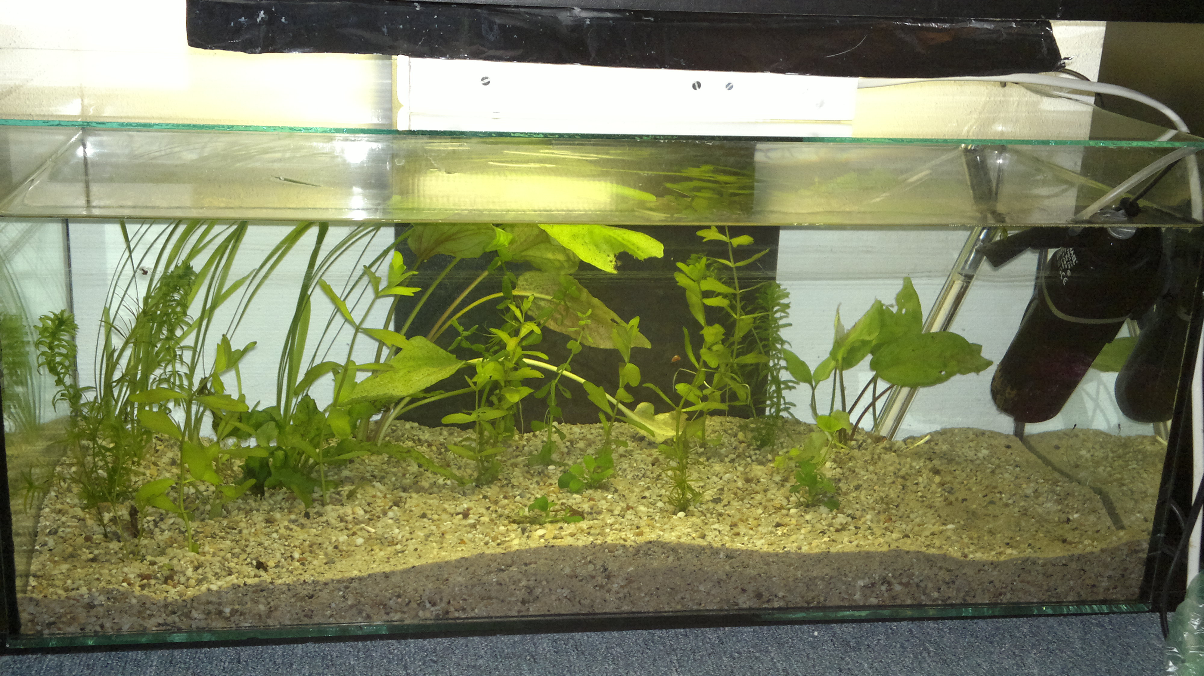 14.03.2013 akvarium prve 2