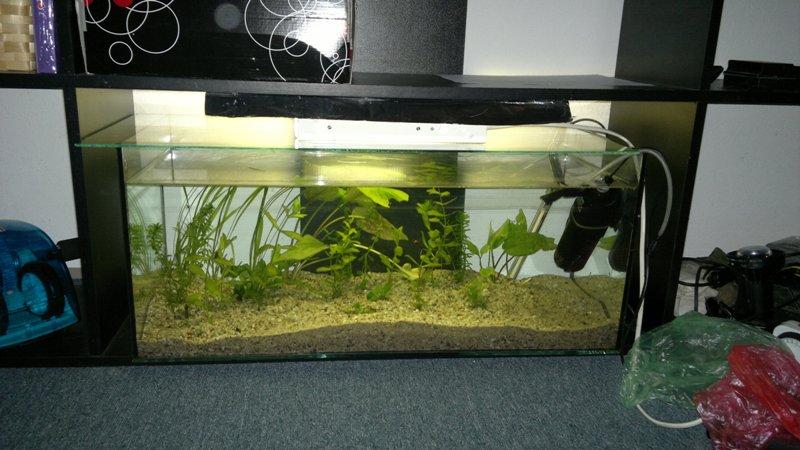 14.03.2013 akvarium prve