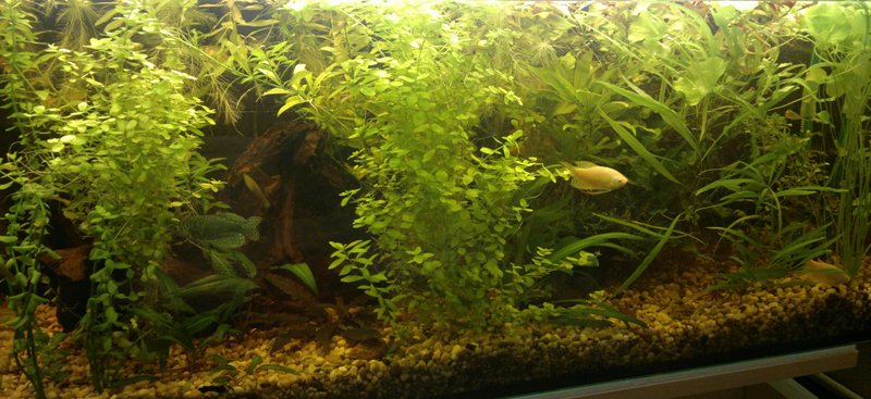 19.02.2014 akvarium velke