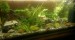 24.10.2013 akvarium prve 2